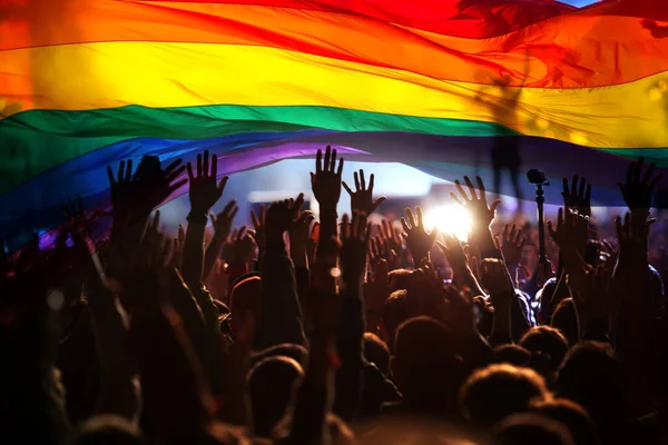 Silhueta Desfile Gays Lésbicas Com Uma Bandeira Arco Íris Símbolo — Fotografia de Stock