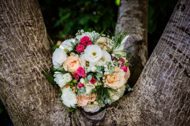 Bir ağaçta düğün buketi