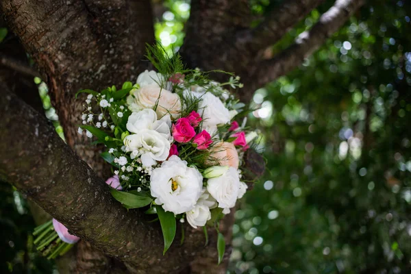 Bouquet Sposa Albero — Foto Stock