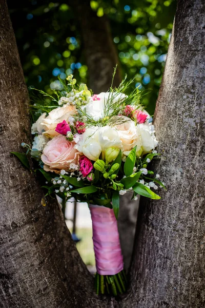 Brautstrauß Auf Einem Baum — Stockfoto