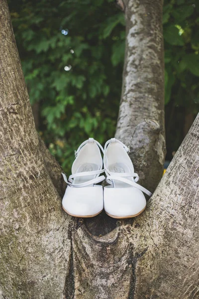 Свадебные Туфли Дереве — стоковое фото