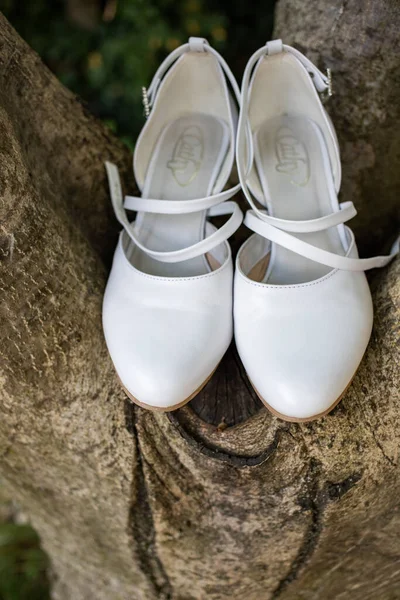 木の上の結婚式の靴 — ストック写真
