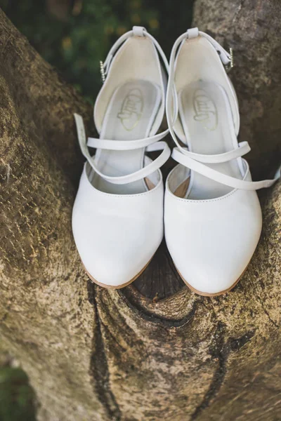 Wedding Shoes Tree — Stock Photo, Image