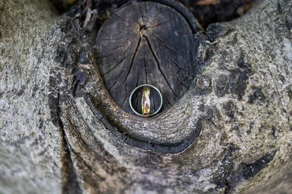 Snubní Prsten Stromě — Stock fotografie