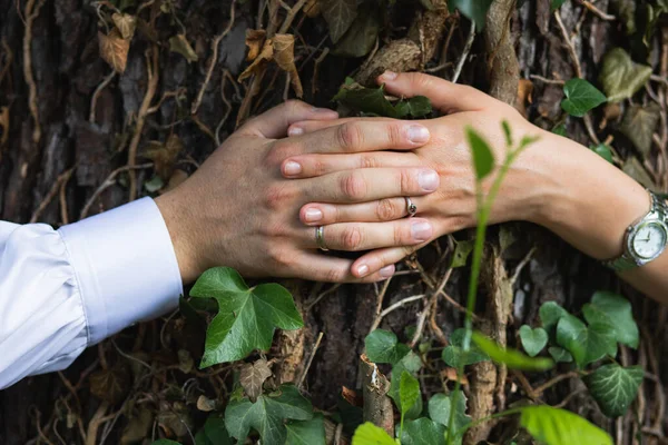 新しく結婚式の指輪を持った夫婦の手が木を抱きかかえて — ストック写真