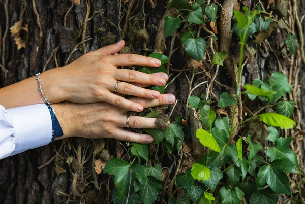 Newly Wed Couple Hands Wedding Rings Hugging Tree — Stock Photo, Image