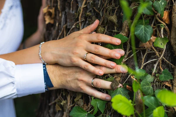 Mãos Casal Recém Casados Com Anéis Casamento Abraçando Uma Árvore — Fotografia de Stock