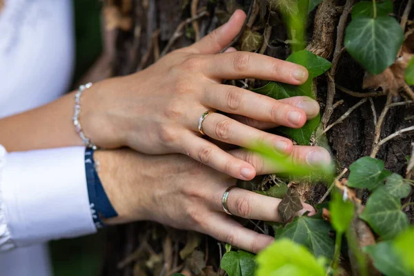 Nuove Mani Coppia Sposate Con Fedi Nuziali Abbracciando Albero — Foto Stock