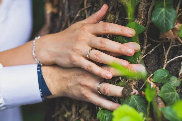 Newly Wed Couple Hands Wedding Rings Hugging Tree — Stock Photo, Image