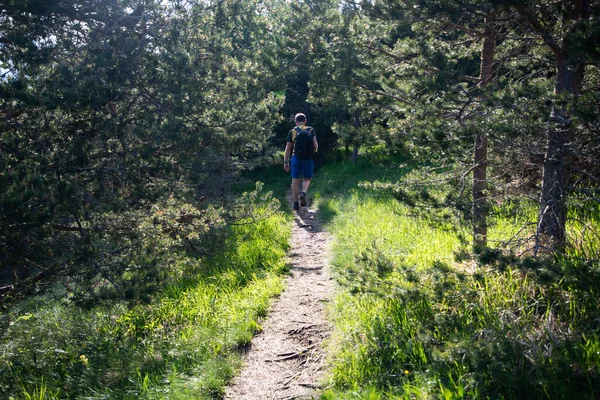 Knappe Man Trekking Natuur Langzaam Reizen — Stockfoto