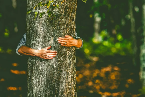 Main Femme Embrassant Arbre Dans Forêt Aimer Nature Lutter Contre — Photo