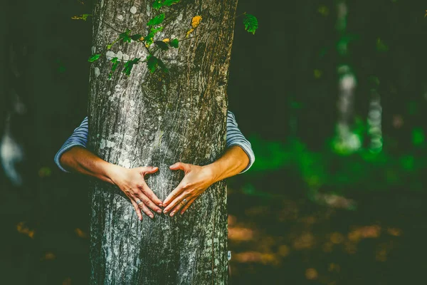 Ormanda Bir Ağacı Kucaklayan Kadın Doğa Sever Küresel Isınmayla Mücadele — Stok fotoğraf