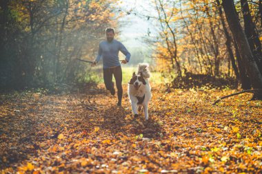 Mutlu köpek ve adam sonbahar ormanında oynuyorlar.