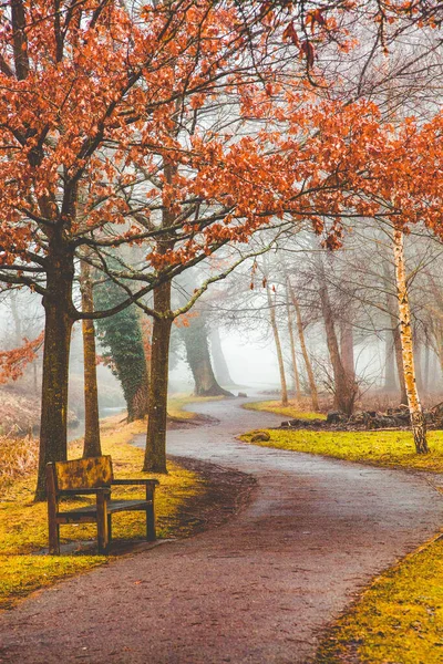 Beautiful Autumn Park Bench Fog — Stock Photo, Image