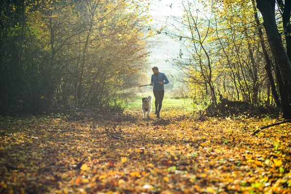 Gelukkig Hond Man Spelen Herfst Bos — Stockfoto