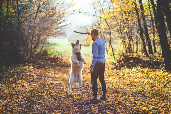 Glücklicher Hund Und Mann Spielen Herbstwald — Stockfoto