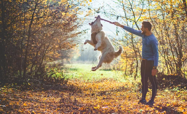 Gelukkig Hond Man Spelen Herfst Bos — Stockfoto