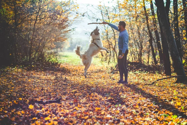 Mutlu Köpek Adam Sonbahar Ormanında Oynuyorlar — Stok fotoğraf