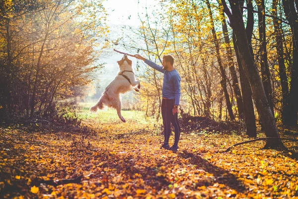 Gelukkig Hond Man Spelen Herfst Bos — Stockfoto