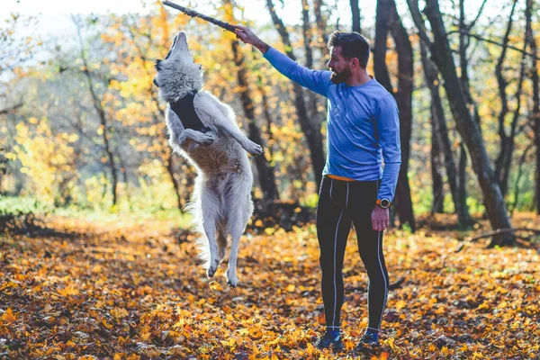 Счастливая Собака Человек Играющие Осеннем Лесу — стоковое фото
