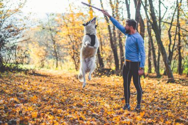 Mutlu köpek ve adam sonbahar ormanında oynuyorlar.