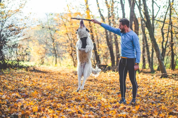 Feliz Perro Hombre Jugando Bosque Otoño — Foto de Stock