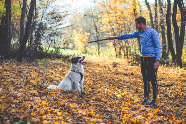 Mutlu Köpek Adam Sonbahar Ormanında Oynuyorlar — Stok fotoğraf