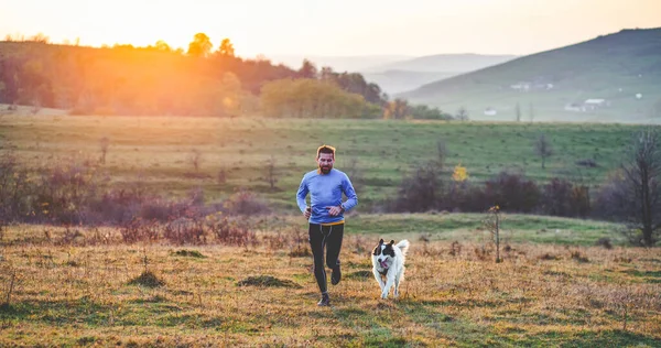 Feliz Perro Hombre Corriendo Otoño Campo —  Fotos de Stock