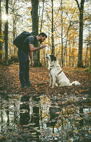 Χαρούμενος Σκύλος Και Άνθρωπος Παίζει Στο Δάσος Του Φθινοπώρου — Φωτογραφία Αρχείου