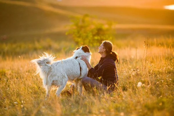 Woman Dog Playing Autumn Landscape — 图库照片