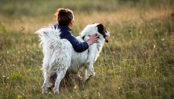 Femme Avec Chien Jouant Dans Paysage Automne — Photo