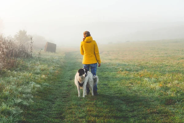 Kobieta Pies Jesiennym Krajobrazie Przez Jezioro Odległość Społeczna — Zdjęcie stockowe
