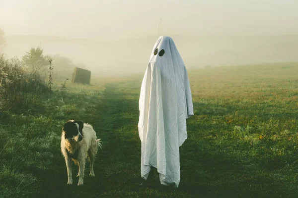 Fantôme Halloween Avec Chien Dans Paysage Brumeux — Photo