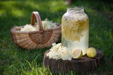 ev elderflower şurubu limon ile cam yapılan