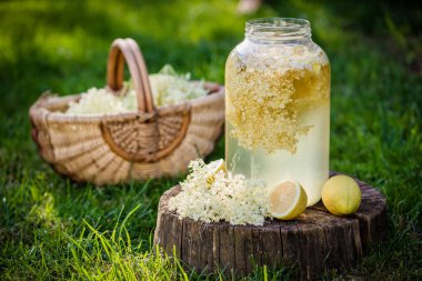 ev elderflower şurubu limon ile cam yapılan