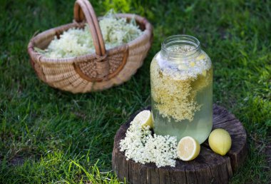 ev elderflower şurubu limon ile cam yapılan