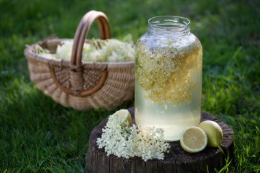 ev elderflower şurubu limon ile cam yapılan