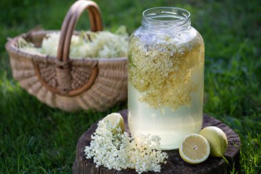 ev elderflower şurubu limon ile cam yapılan