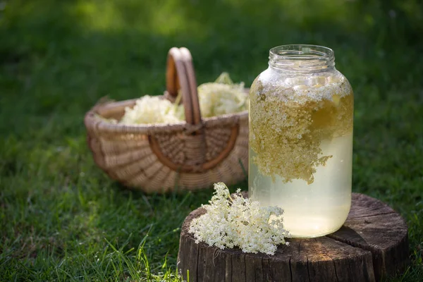 Elderflower 유리에 — 스톡 사진