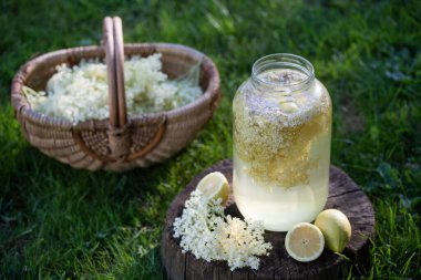 ev elderflower şurubu limon ile cam yapılan