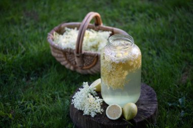 ev elderflower şurubu limon ile cam yapılan