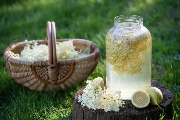 Jarabe Flor Saúco Casero Con Limón Vaso —  Fotos de Stock