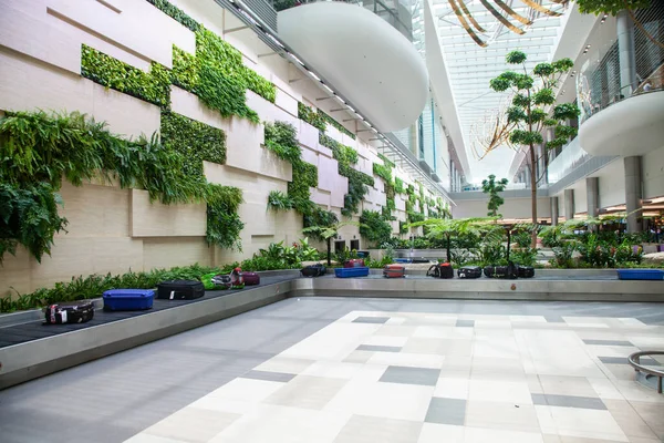 Singapore Singapore Maart 2019 Bagage Arriveert Tussen Weelderige Groene Planten — Stockfoto