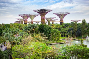 SINGAPORE, SINGAPORE - Mart 2019: Marina Bay Sands Oteli yakınlarındaki Singapur Körfezi yakınlarındaki Gardens 'taki Supertree Grove