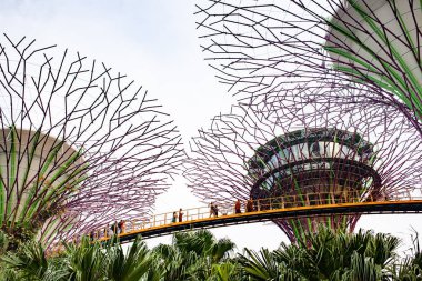 SINGAPORE, SINGAPORE - Mart 2019: Marina Bay Sands Oteli yakınlarındaki Singapur Körfezi yakınlarındaki Gardens 'taki Supertree Grove