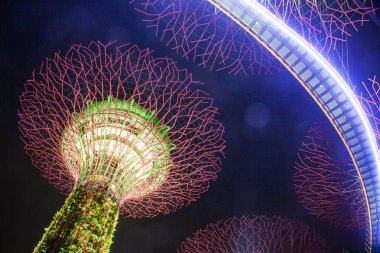 SINGAPORE, SINGAPORE - Mart 2019: Marina Bay Sands Oteli yakınlarındaki Singapur Körfezi yakınlarındaki Gardens 'taki Supertree Grove