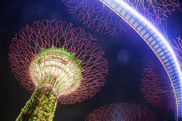 Singapur Singapur März 2019 Der Supertree Grove Gardens Bay Singapur — Stockfoto
