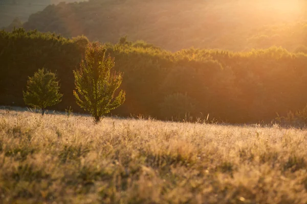 Cálido Otoño Puesta Del Sol Naturaleza Fondo — Foto de Stock