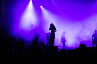 Konserdeki kalabalık ve sahne ışıklarındaki siluetler