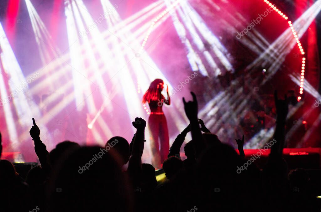 crowd at concert and silhouettes in stage lights